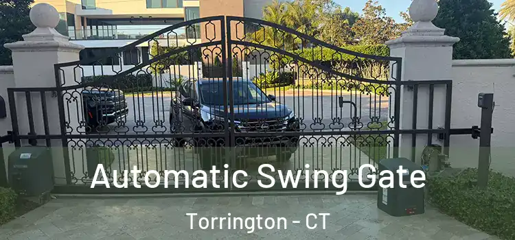 Automatic Swing Gate Torrington - CT