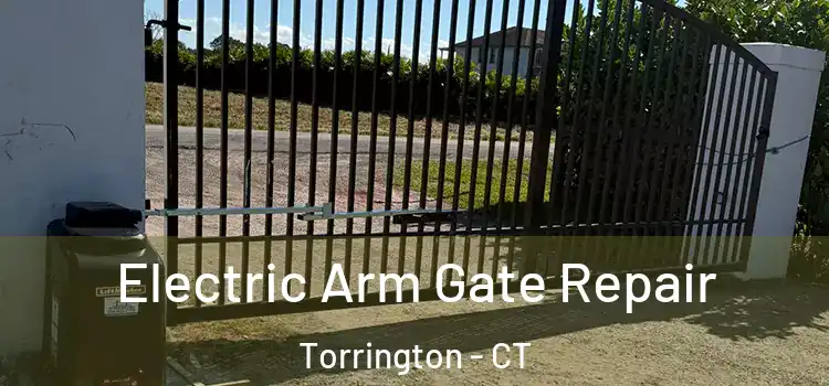 Electric Arm Gate Repair Torrington - CT
