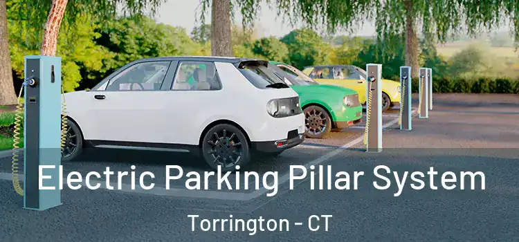 Electric Parking Pillar System Torrington - CT