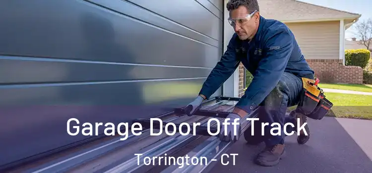  Garage Door Off Track Torrington - CT