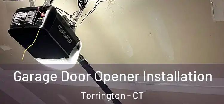  Garage Door Opener Installation Torrington - CT