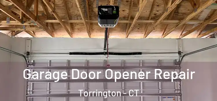  Garage Door Opener Repair Torrington - CT