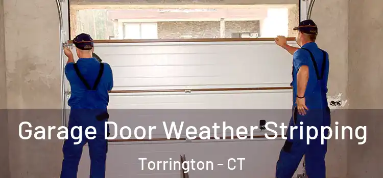  Garage Door Weather Stripping Torrington - CT