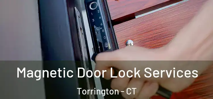 Magnetic Door Lock Services Torrington - CT