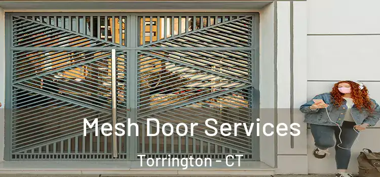 Mesh Door Services Torrington - CT