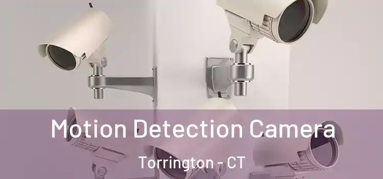  Motion Detection Camera Torrington - CT