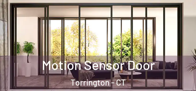 Motion Sensor Door Torrington - CT